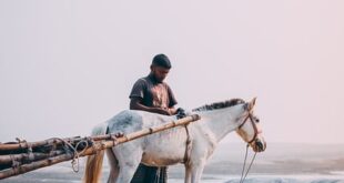 Yalvaç’ta Çiftçilere Yönelik Tarım Eğitimi